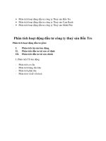 Phân tích hoạt động đầu tư công ty thuỷ sản Bến Tre