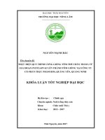 Thực hiện quy trình ương giống tôm thẻ chân trắng từ giai đoạn postlarvae lên thành tôm giống tại công ty cổ phần thực phẩm bim   quảng yên   quảng ninh 