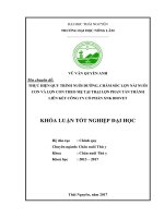 Thực hiện quy trình nuôi dưỡng, chăm sóc lợn nái nuôi con và lợn con theo mẹ tại trại lợn phan tấn thành liên kết công ty cổ phần xuất nhập khẩu biovet 