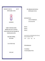 Nghiên cứu hình thái giải phẫu khối bên xương sàng của người Việt Nam ứng dụng trong phẫu thuật nội soi điều trị viêm mũi xoang mạn tính (TT)