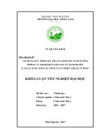 Áp dụng quy trình kỹ thuật chăm sóc, nuôi dưỡng,phòng và trị bệnh ở lợn con từ sơ sinh đến 21 ngày tuổi nuôi tại công ty CP thiên thuận tường, thành phố cẩm phả   tỉnh quảng ninh 