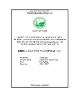 Nghiên cứu ảnh hưởng của chất kích thích ra rễ IBA (indol bytyric acid ) phương pháp dâm hom hình thành cây thanh táo (justicia gendarussa) tại trường đại học nông lâm thái nguyên 