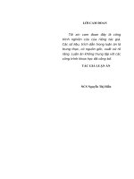 Đảng lãnh đạo đào tạo giảng viên lý luận chính trị cho các trường đại học, cao đẳng từ năm 2001 đến năm 2015 (Luận án tiến sĩ)