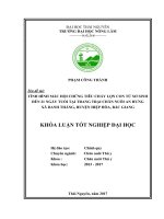 Tình hình mắc hội chứng tiêu chảy lợn con từ sơ sinh đến 21 ngày tuổi tại trang trại chăn nuôi an hưng xã danh thắng   hiệp hòa   bắc giang 