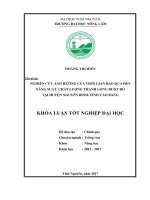 Nghiên cứu ảnh hưởng của thời gian bao quả đến năng suất, chất lượng thanh long ruột đỏ tại huyện nguyên bình   tỉnh cao bằng 