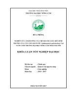 Giai đoạn vườn ươm tại trường Đại học Nông Lâm Thái Nguyên (Khóa luận tốt nghiệp)