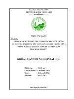 Áp dụng quy trình kỹ thuật trong chăn nuôi, phòng và điều trị hội chứng tiêu chảy lợn con sau cai sữa đến 4 tháng tuổi tại trại của công ty cổ phần xuất nhập khẩu biovet  khóa luận tốt nghiệp 