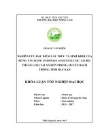 Nghiên cứu đặc điểm cấu trúc sinh khối của rừng Vầu đắng (Indosasa angustata Mc. Clure) thuần loài tại xã Đôn Phong  huyện Bạch thông  tỉnh Bắc Kạn (Khóa luận tốt nghiệp)