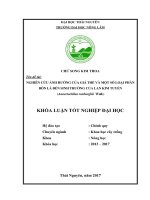 Nghiên cứu ảnh hưởng của giá thể và một số loại phân bón lá đến sinh trưởng của lan kim tuyến 