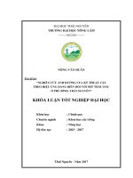 Nghiên cứu ảnh hưởng của kỹ thuật cấy theo hiệu ứng hàng biên đối với nếp thầu dầu ở phú bình   thái nguyên 