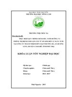 Thực hiện quy trình chăm sóc, nuôi dưỡng và phòng, trị bệnh cho lợn con từ sơ sinh đến 21 ngày tuổi tại công ty TNHH phương hà, xã hương lung   huyện cẩm khê   tỉnh phú thọ 