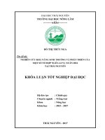 Nghiên cứu khả năng sinh trưởng và phát triển của một số tổ hợp ngô lai vụ xuân 2016 tại thái nguyên 