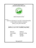 Đánh giá ảnh hưởng của mật độ cấy đến sinh trưởng và phát triển của giống lúa basmati trong vụ mùa 2016 tại phú bình 