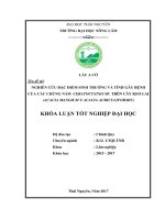 Nghiên cứu đặc điểm sinh trưởng và tính gây bệnh của các chủng nấm Ceratocystis sp (Khóa luận tốt nghiệp)