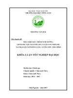 Thực hiện quy trình nuôi dưỡng, chăm sóc lợn nái nuôi con và lợn con theo mẹ tại trại lợn Ngô Hồng Gấm – Lương Sơn – Hòa Bình (Khóa luận tốt nghiệp)