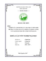Nghiên cứu ảnh hưởng của mật độ cấy đến sinh trưởng và năng suất của giống lúa khẩu lường ván tại huyện hàm yên   tỉnh tuyên quang 