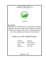 Thực hiện quy trình chăm sóc, nuôi dưỡng và phòng trị bệnh cho đàn lợn thịt nuôi tại trang trại chăn nuôi công ty TNHH MTV hòa yên   tập đoàn hòa phát xã lương thịnh   huyện trấn yên   tỉnh yên bái 