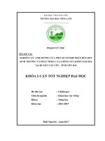 Nghiên cứu ảnh hưởng của một số tổ hợp phân bón đến sinh trưởng và phát triển của giống sắn KM94 tại huyện văn yên   yên bái 