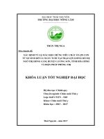 Xác định tỷ lệ mắc hội chứng tiêu chảy ở lợn con từ sơ sinh đến 21 ngày tuổi tại trại lợn giống bố mẹ ngô thị hồng gấm, huyện lương sơn   tỉnh hòa bình và biện pháp phòng trị 