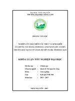 Nghiên cứu đặc điểm cấu trúc và sinh khối của rừng Vầu đắng (Indosasa angustata Mc. Clure) thuần loài tại xã Vũ Loan  huyện Na Rì  tỉnh Bắc Kạn (Khóa luận tốt nghiệp)