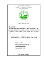 Áp dụng quy trình chăm sóc, nuôi dưỡng và điều trị một số bệnh thường gặp trên đàn lợn nái sinh sản nuôi tại trại nguyễn văn đẩu   thị xã từ sơn   tỉnh bắc ninh 