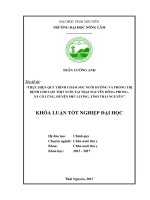 Thực hiện quy trình chăm sóc nuôi dưỡng và phòng trị bệnh cho lợn thịt nuôi tại trại nguyễn hồng phong , xã cổ lũng   huyên phú lương   tỉnh thái nguyên 