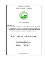 Khảo sát khả năng sinh sản của lợn nái ông bà dòng CP40 và sinh trưởng của lợn con giai đoạn từ sơ sinh đến khi cai sữa tại trại ông đặng viết thuần, xóm non chanh   xã tân thành   huyện phú bình   tỉnh thái  