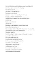 tu vung tieng anh ve chu de luat phap 