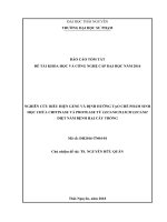 Nghiên cứu biểu hiện gene và định hướng tạo chế phẩm sinh học chứa chitinase và protease từ Lecanicillium lecanii diệt nấm bệnh hại cây trồng (tt)