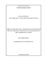 Nghiên cứu biểu hiện gene và định hướng tạo chế phẩm sinh học chứa chitinase và protease từ Lecanicillium lecanii diệt nấm bệnh hại cây trồng (NCKH)