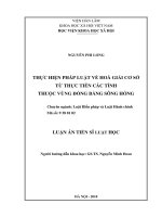 Thực hiện pháp luật về hòa giải cơ sở từ thực tiễn các tỉnh thuộc vùng đồng bằng sông Hồng (Luận án tiến sĩ)