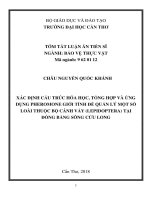 Xác định cấu trúc hoá học, tổng hợp và ứng dụng pheromone giới tính để quản lý một số loài thuộc bộ cánh vảy (Lepidoptera) ở Đồng bằng sông Cửu Long (tt)