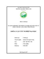 Đa dạng sinh học côn trùng tại khu bảo tồn loài và sinh cảnh mù cang chải   tỉnh yên bái 