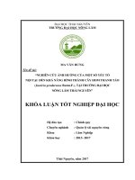 Nghiên cứu ảnh hưởng của một số yếu tố nội tại đến khả năng hình thành cây hom Thanh táo (Justicia gendarussa Burm.F.), tại Trường Đại học Nông Lâm Thái Nguyên (Khóa luận tốt nghiệp)