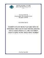 Nghiên cứu sử dụng vật liệu keo tụ sinh học chế tạo từ hạt muồng hoàng yến (Cassia FistulaL.) để cải thiện chất lượng nước thải công nghiệp (Luận án tiến sĩ)