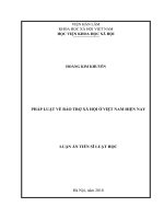 Pháp luật về bảo trợ xã hội ở việt nam hiện nay