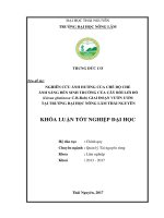 Nghiên cứu ảnh hưởng của chế độ che ánh sáng đến sinh trưởng của cây bời lời đỏ (litsea glutinosa c b rob) giai đoạn vườn ươm tại trường đại học nông lâm thái nguyên 