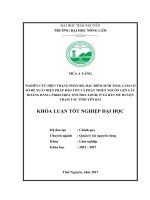 Nghiên cứu hiện trạng phân bố, đặc điểm sinh thái , làm cơ sở đề xuất biện pháp bảo tồn và phát triển nguồn gen cây Hoàng đằng (Fibraurea tinctria Lour) tại xã Bản Mù  huyện Trạm Tấu  tỉnh Yên Bái (Khóa luận tốt nghiệp)