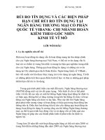 Rủi ro tín dụng và các biện pháp hạn chế rủi ro tín dụng tại ngân hàng thương mại  cổ phần Quốc tế VIBank- Chi nhánh Hoàn Kiếm theo góc nhìn kinh tế vĩ mô
