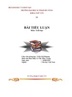 BÀI TIỂU LUẬN văn học việt nam