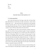 Tiểu luận thực hành công tác xã hội trong lĩnh vực y tế hiện nay