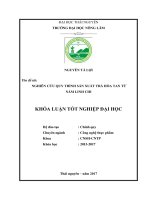 Nghiên cứu quy trình sản xuất trà hòa tan từ nấm linh chi  