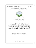 Nghiên cứu bào chế và sinh khả dụng viên nén glipizid giải phóng kéo dài (Luận án tiến sĩ)