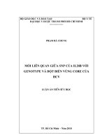 Mối liên quan giữa SNP của IL28B với genotype và đột biến vùng core của HCV (Luận án tiến sĩ)