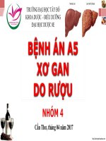 BÌNH BỆNH án xơ GAN DO rượu