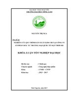 Nghiên cứu quy trình sản xuất kim chi tại công ty cổ phần đầu tư thương mại quốc tế mặt trời đỏ   hà nội 
