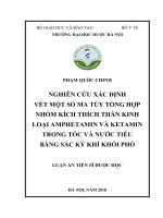 Nghiên cứu xác định vết một số ma túy tổng hợp nhóm kích thích thần kinh loại amphetamin và ketamin trong tóc và nước tiểu bằng sắc ký khí khối phổ (Luận án tiến sĩ)