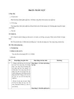 Giáo án Vật lý 10 bài 22: Ngẫu lực