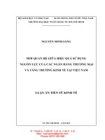 Mối quan hệ giữa hiệu quả sử dụng nguồn lực của các ngân hàng thương mại và tăng trưởng kinh tế tại việt nam 