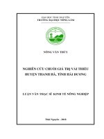 Nghiên cứu chuỗi giá trị vải thiều huyện Thanh Hà, tỉnh Hải Dương (Luận văn thạc sĩ)